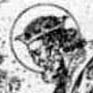 S. Gontran (Gontrano)